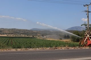 Αγροτική καλλιέργεια